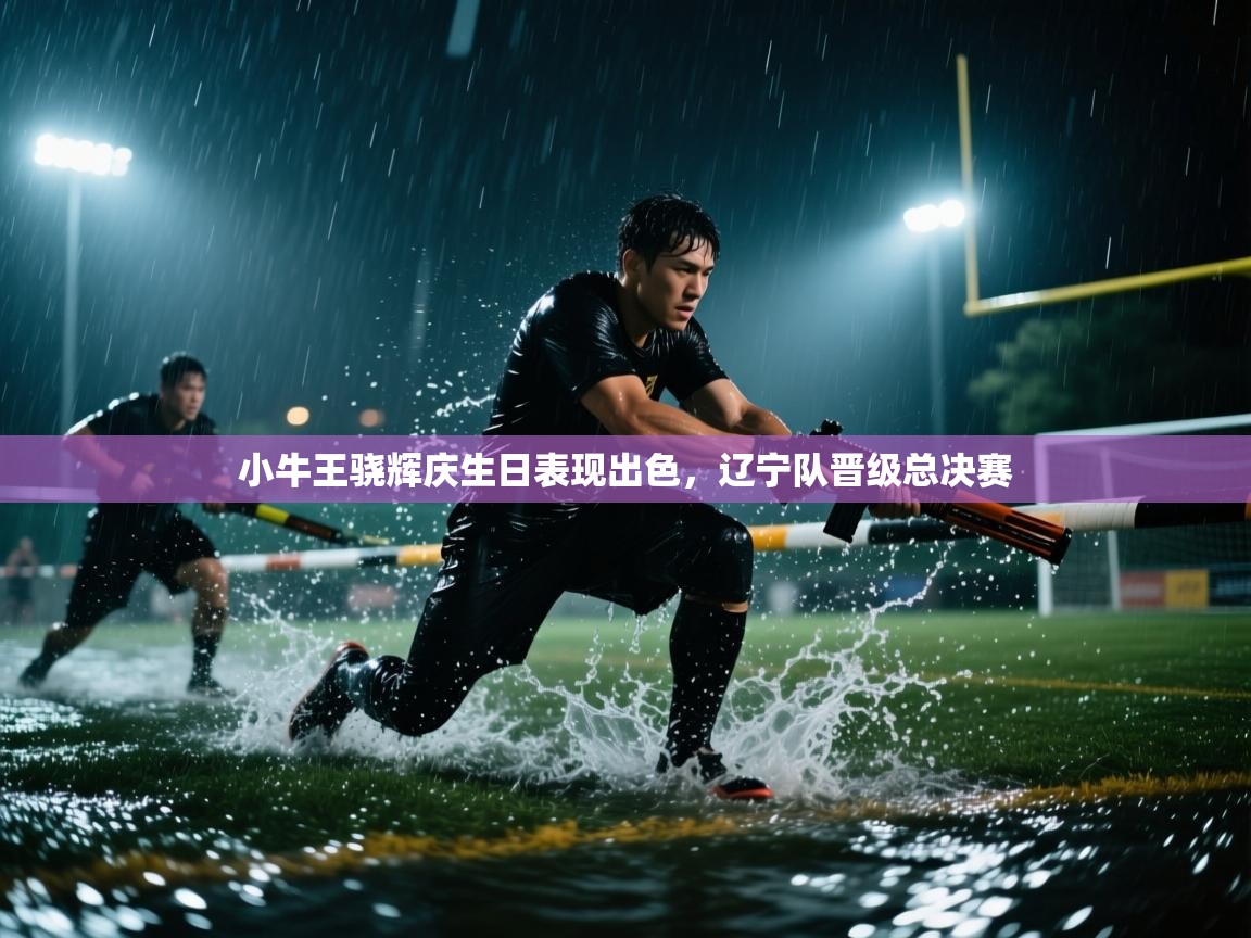 小牛王骁辉庆生日表现出色,辽宁队晋级总决赛 第1张