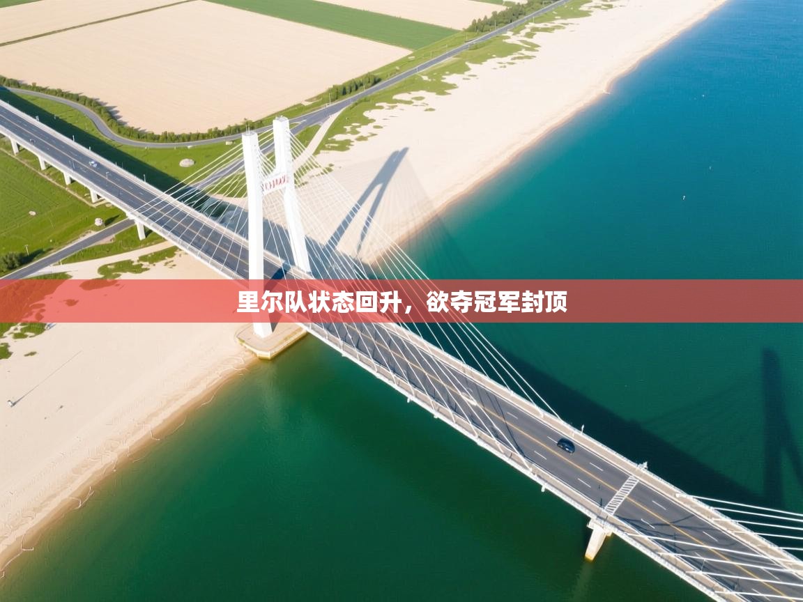 里尔队状态回升，欲夺冠军封顶  第1张