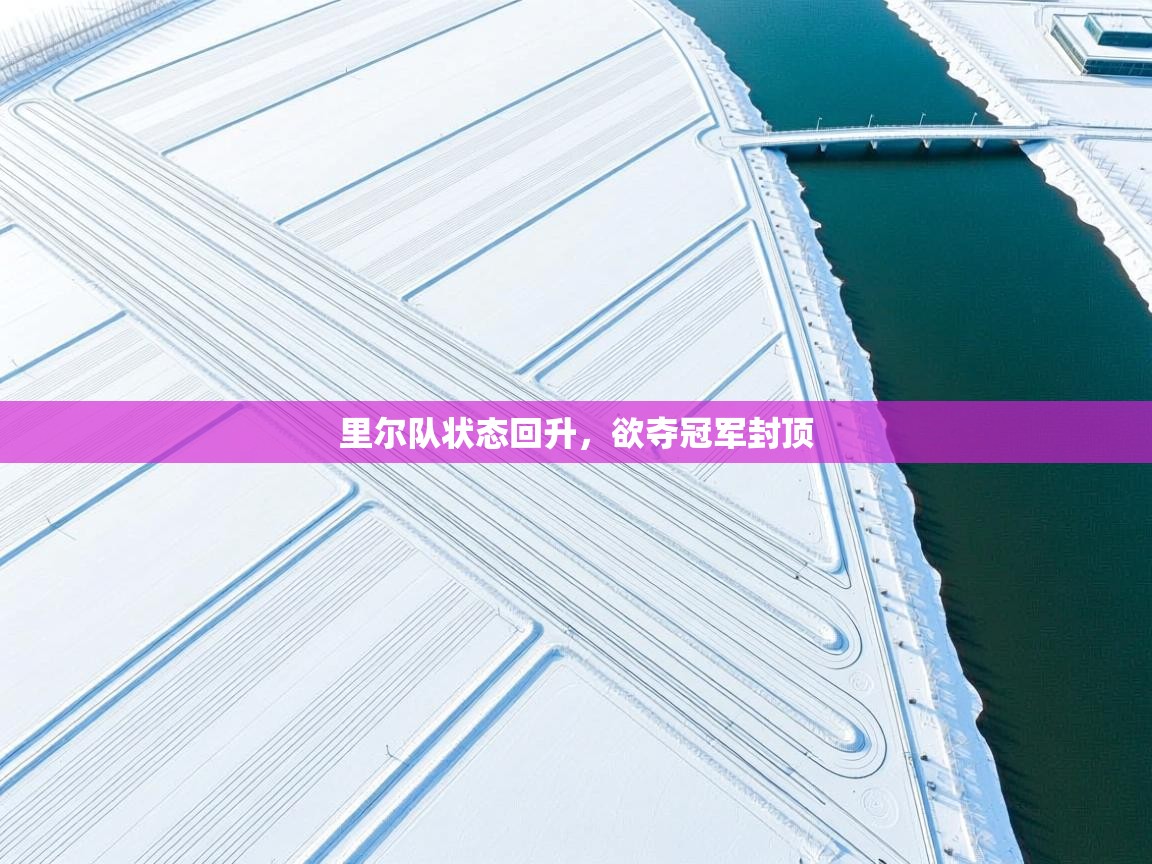 里尔队状态回升，欲夺冠军封顶  第2张