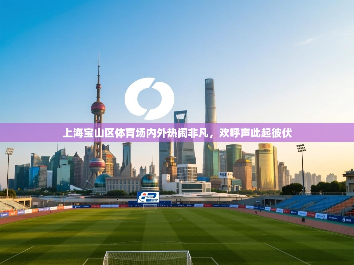 上海宝山区体育场内外热闹非凡，欢呼声此起彼伏  第1张