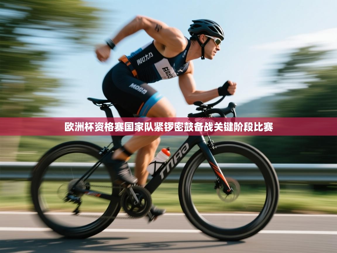 欧洲杯资格赛国家队紧锣密鼓备战关键阶段比赛 第1张