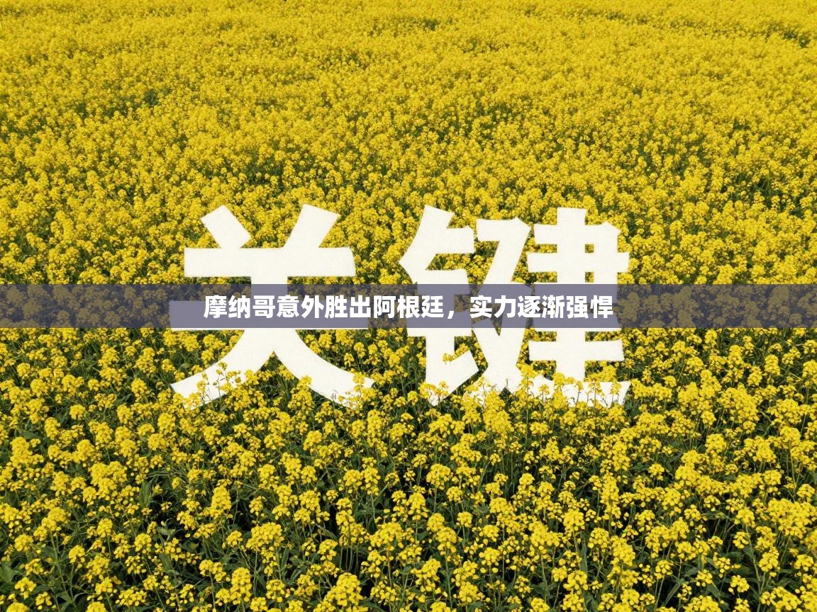 摩纳哥意外胜出阿根廷，实力逐渐强悍  第2张