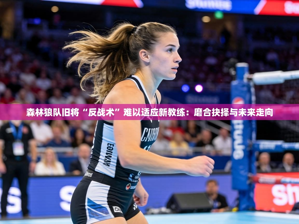 森林狼队旧将“反战术”难以适应新教练:磨合抉择与未来走向 第2张