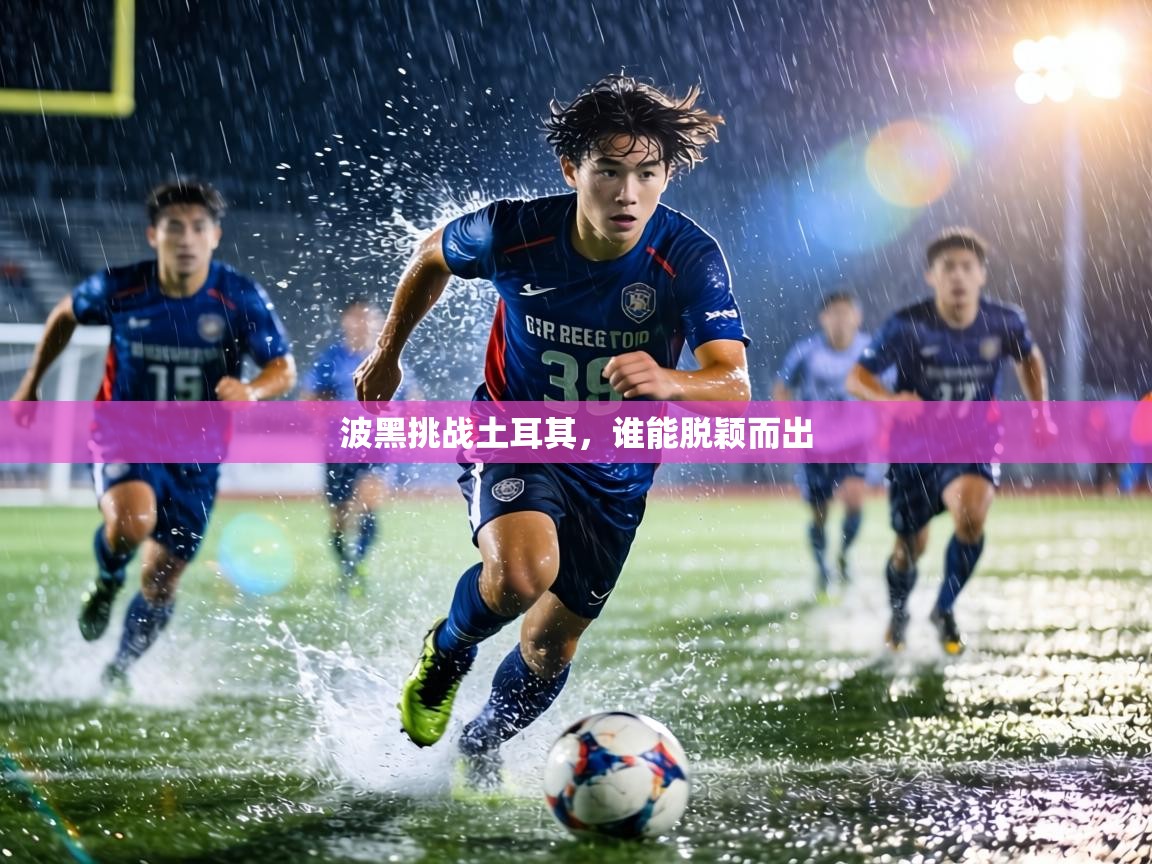 波黑挑战土耳其,谁能脱颖而出 第1张